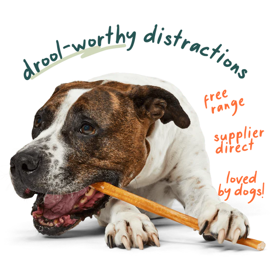 Woof BullySafe Bully Sticks 6"