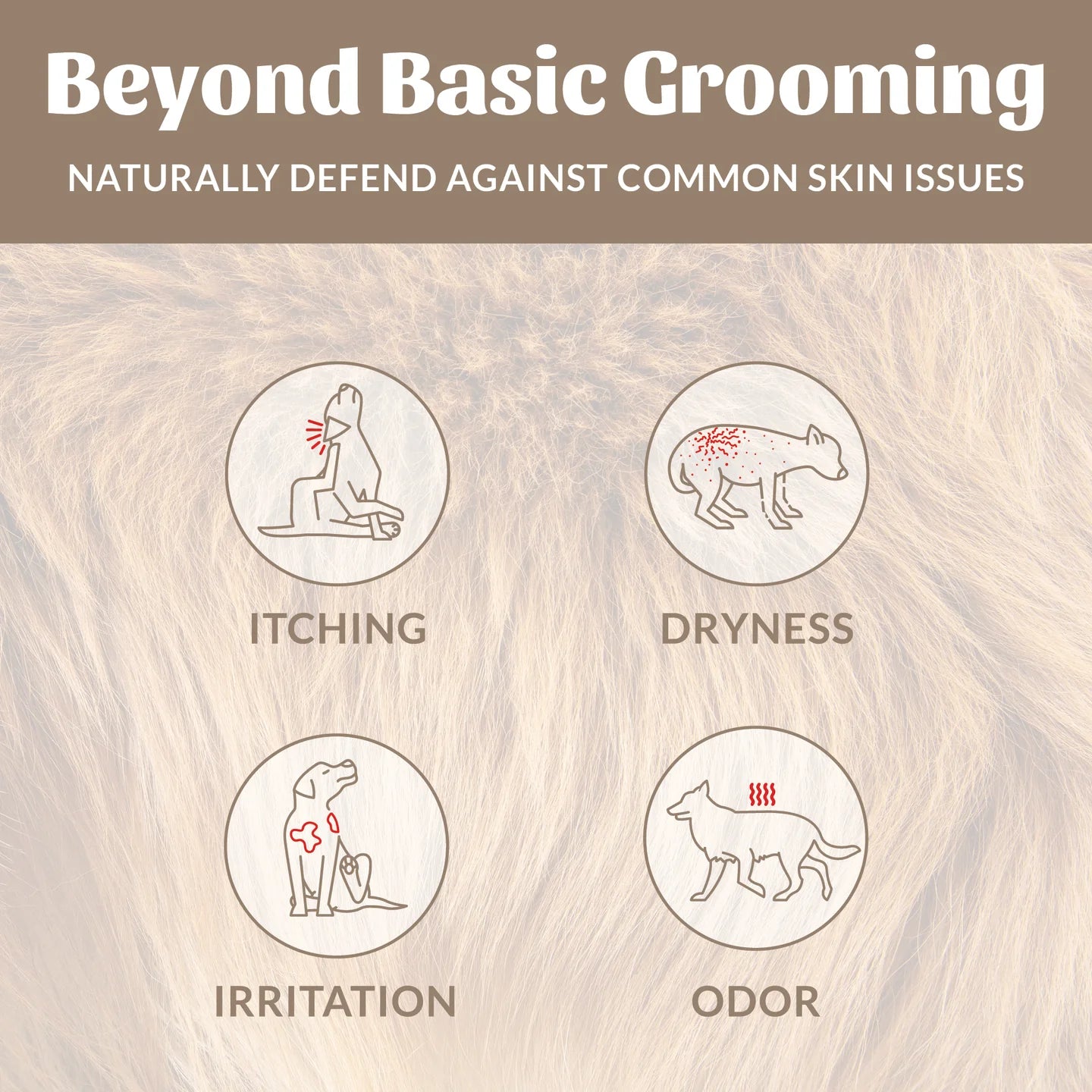 Skout's Honor Probiotic Deodorizer Dog of The Woods