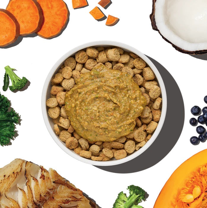 Honest Kitchen Protein Plus Fish with Superfoods Dehydrated Dog Food Topper