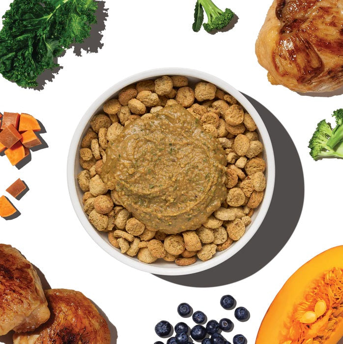 Honest Kitchen Protein Plus Chicken with Superfoods Dehydrated Dog Food Topper