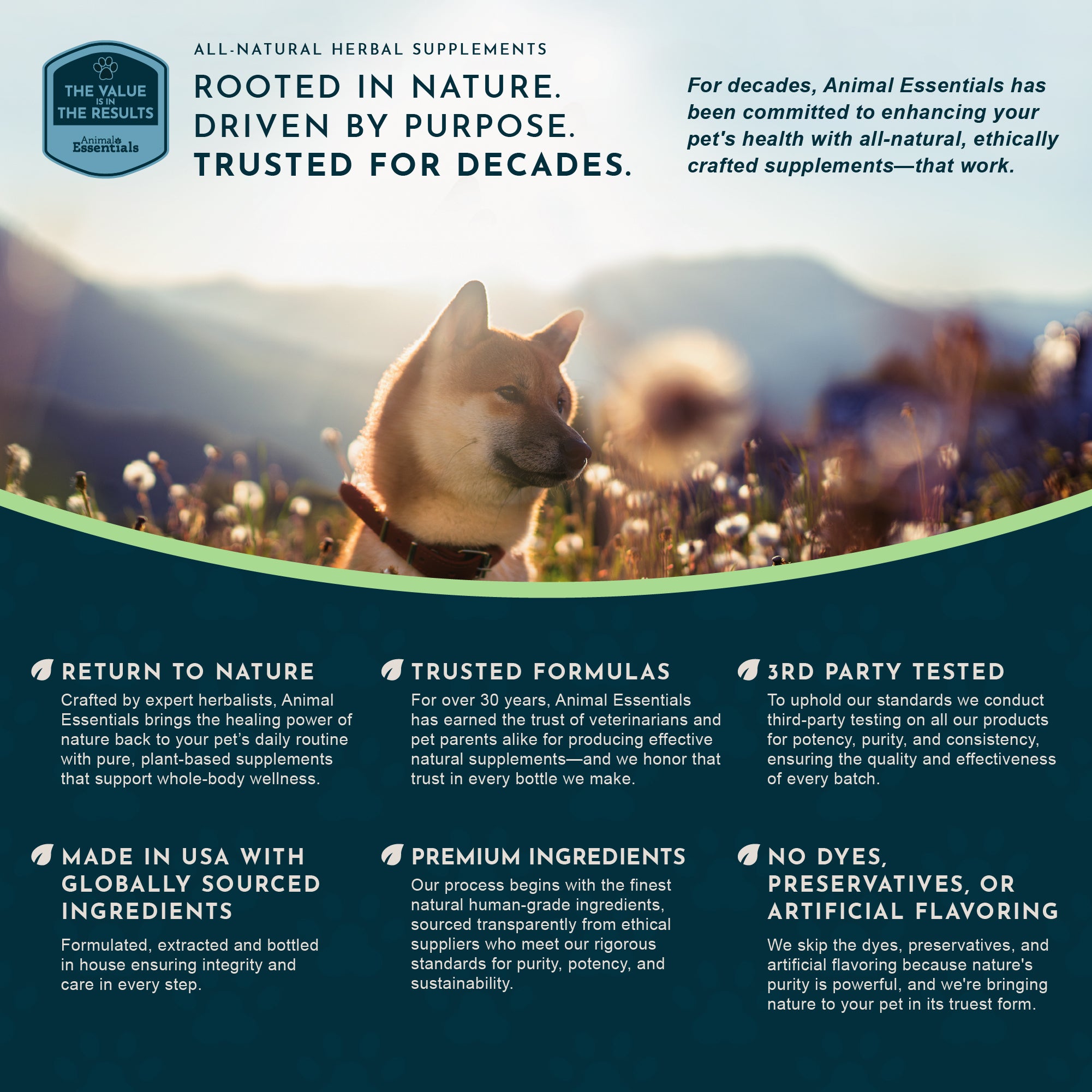 Animal Essentials Hairball Relief Tincture