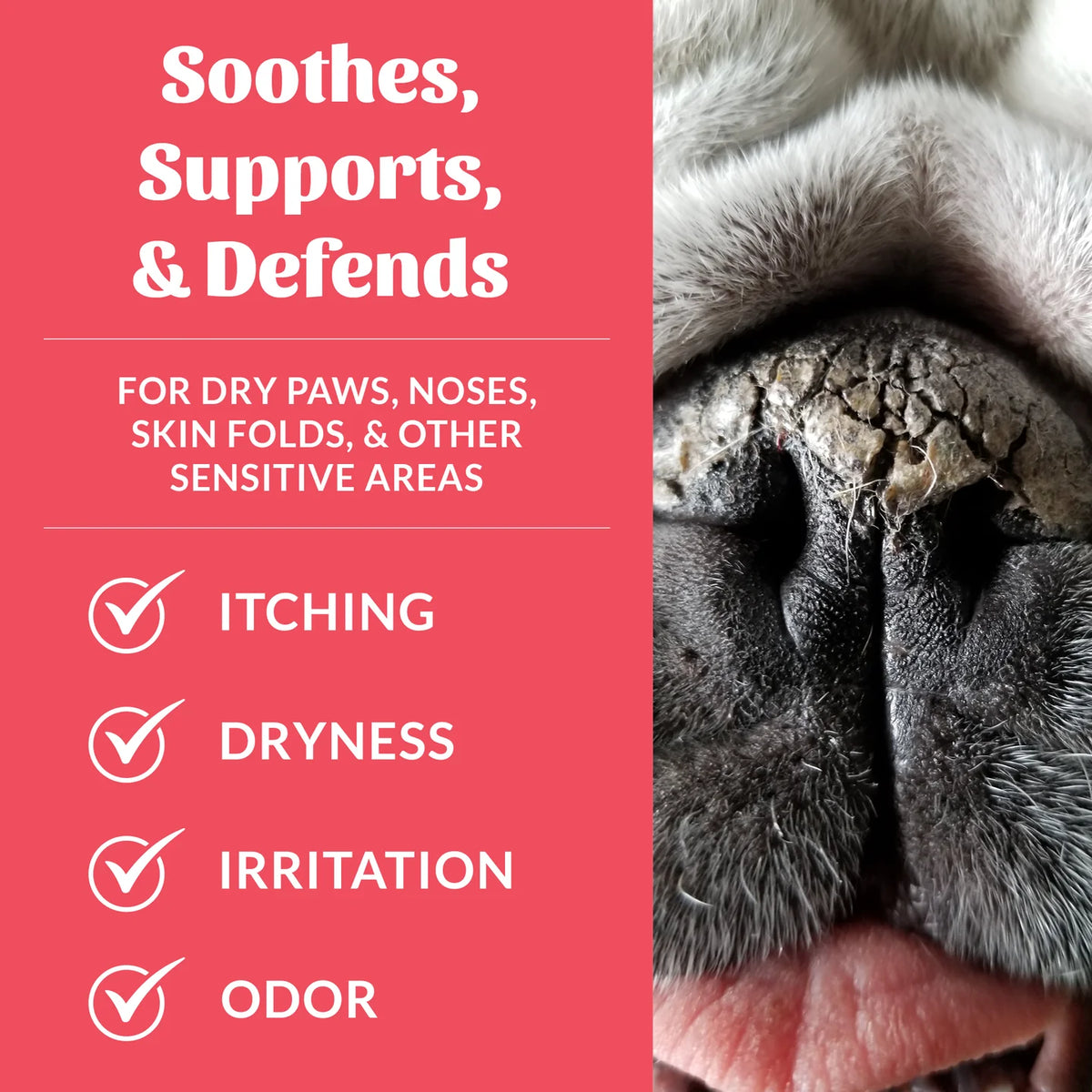 Skout's Honor Probiotic Pet Balm for Paws and Noses