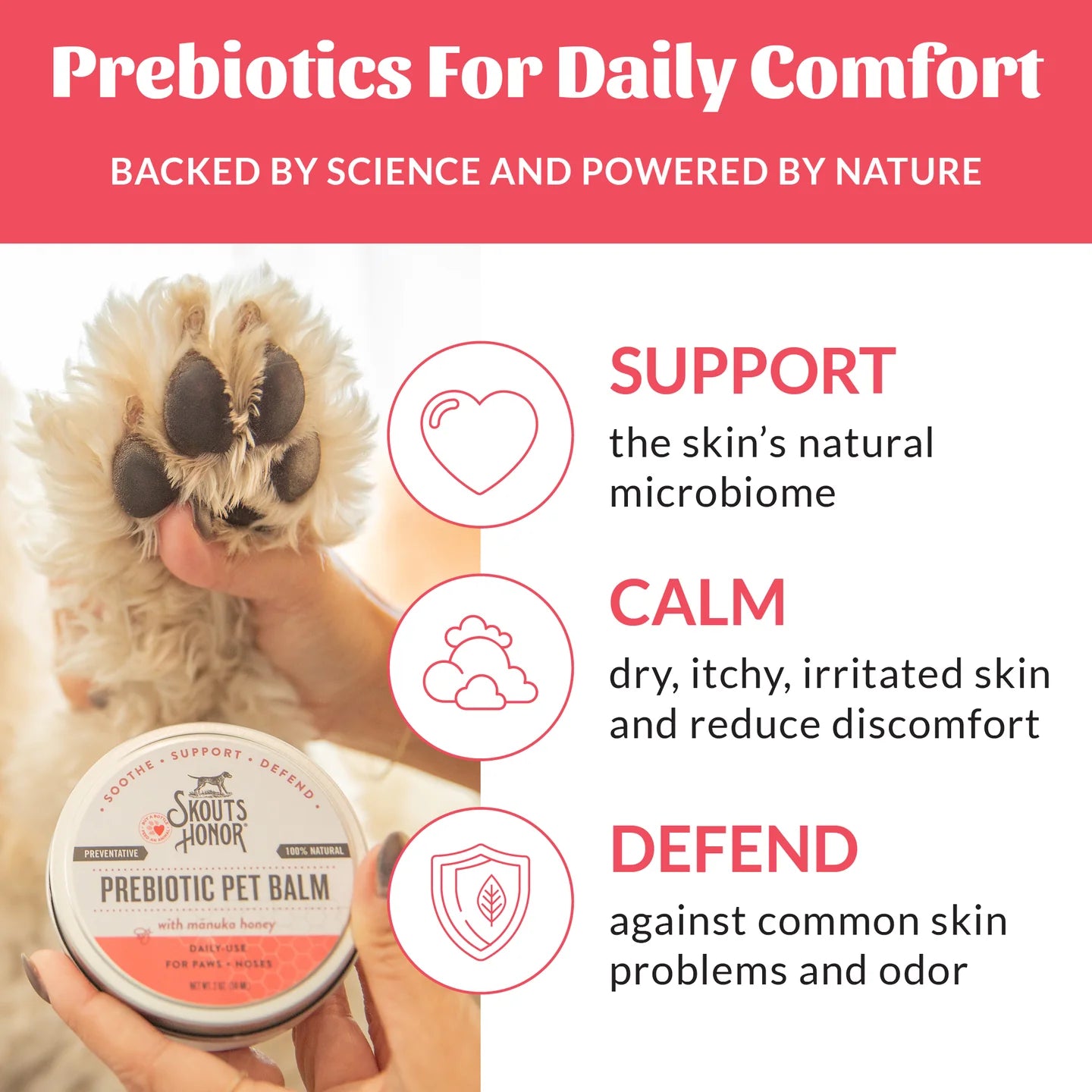 Skout's Honor Probiotic Pet Balm for Paws and Noses