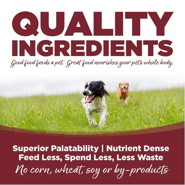 Nutrisource Beef & Rice
