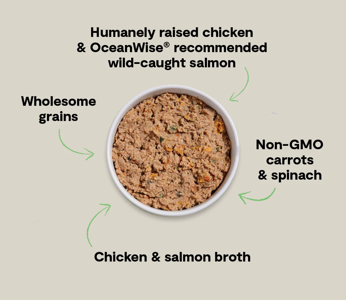 Open Farm GoodBowl Pâté Chicken & Salmon