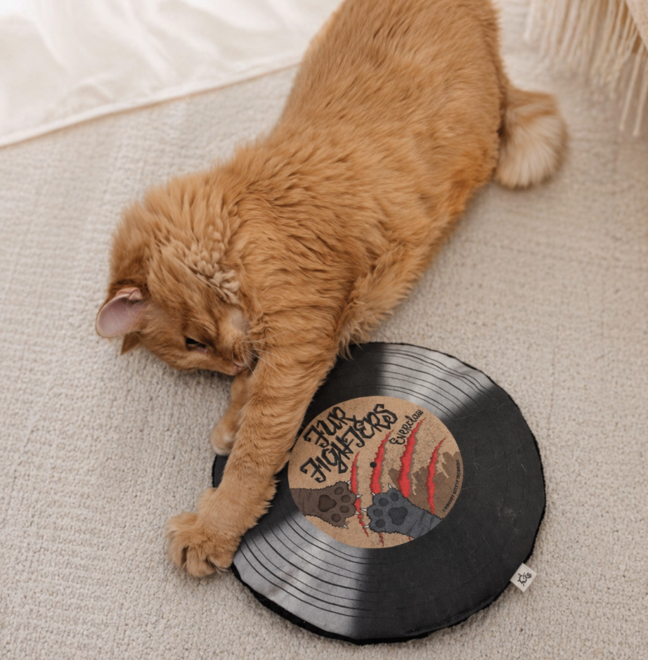 Crochet Kitty Record Mat - Fur Fighters