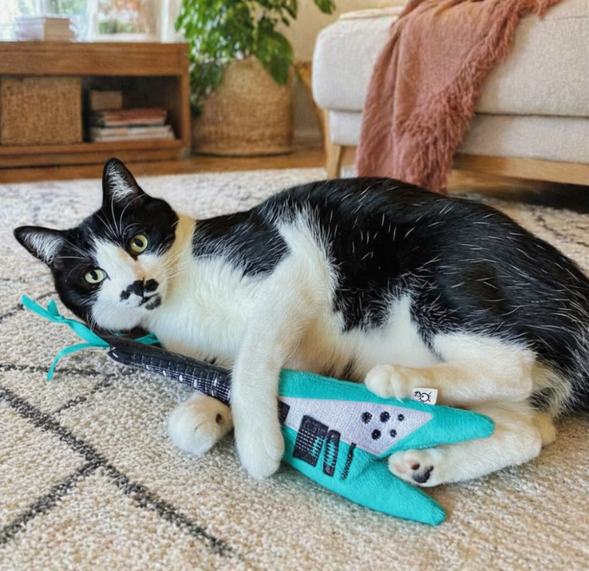 Crochet Kitty Guitar Kicker