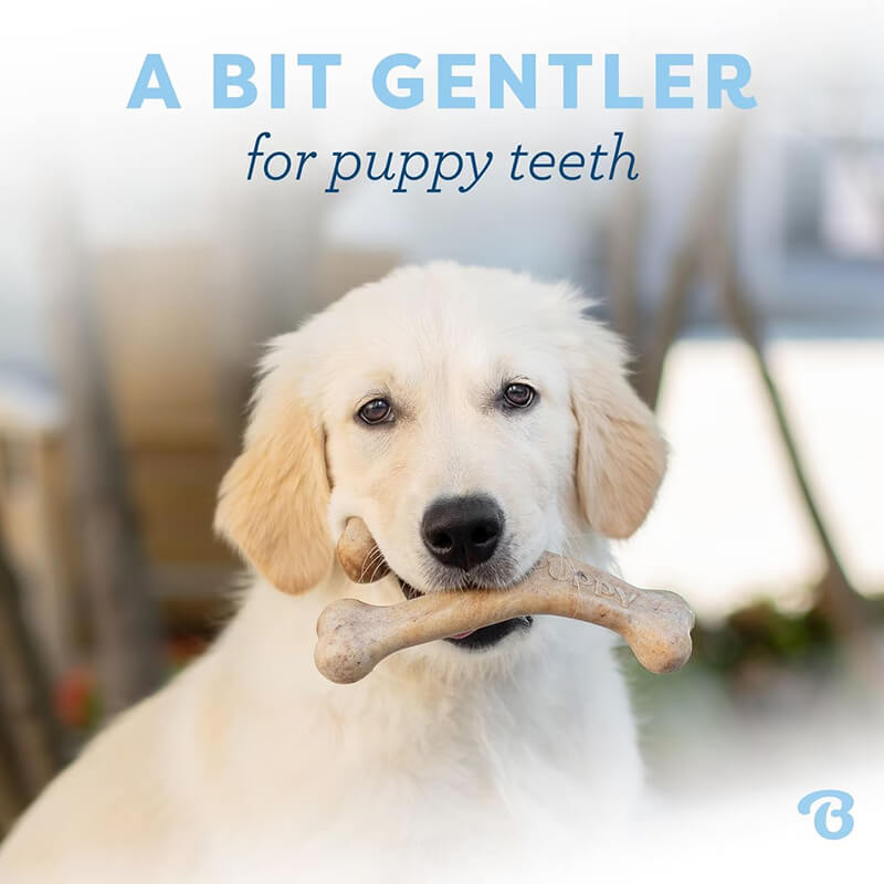 Benebone Puppy 2-Pack Wishbone and Rubber Bone
