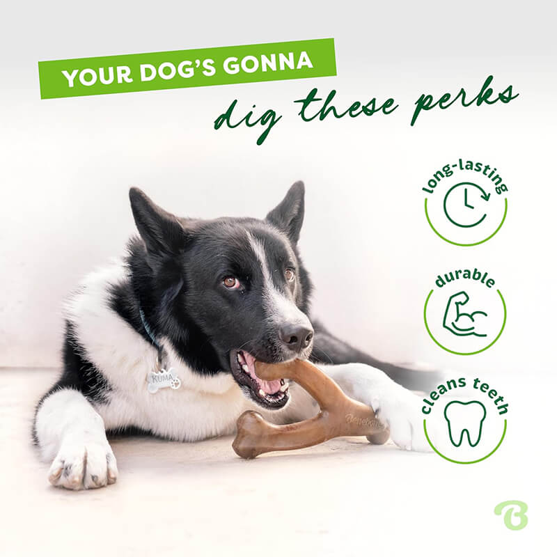 Benebone Wishbone Peanut Butter Chew