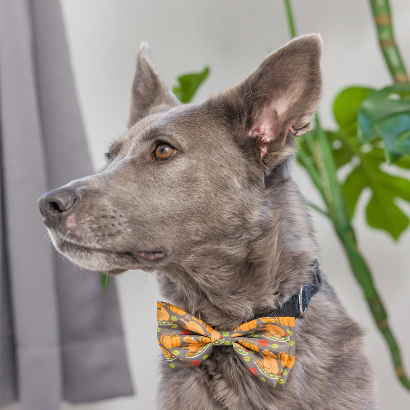Huxley & Kent Turkey Dinner Bow Tie