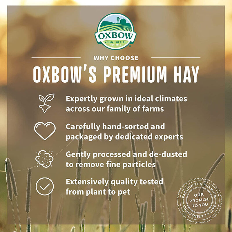 Oxbow Botanical Hay 15 oz