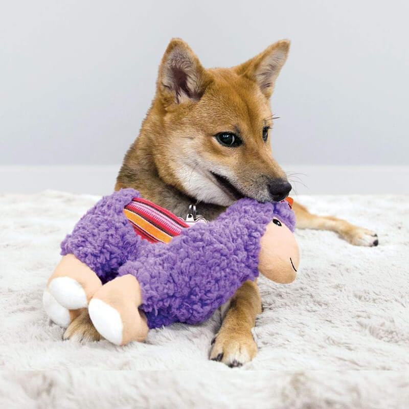 Kong Sherps llama
