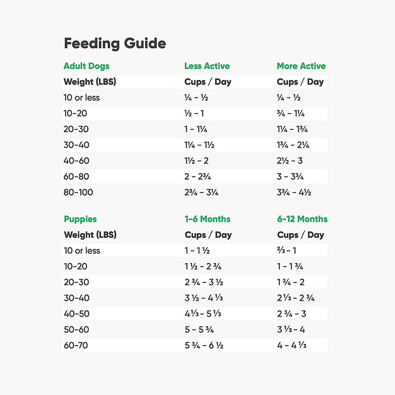 Open Farm Harvest Turkey & Ancient Grains