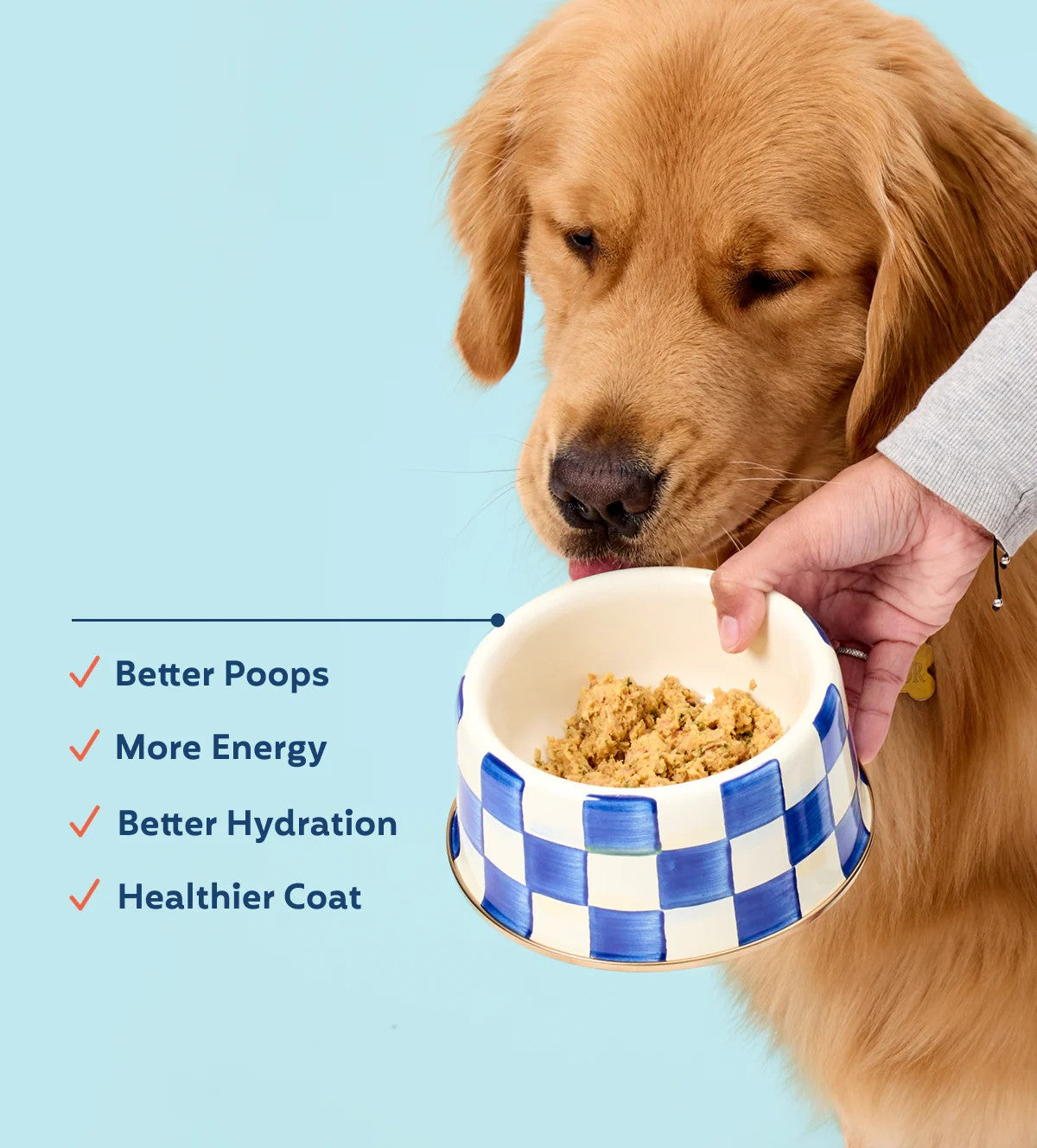 My Perfect Pet Pork Recipe