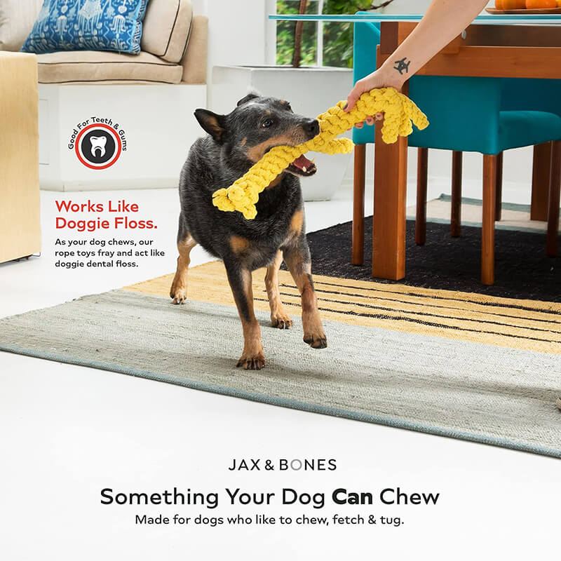Jax & Bones Anchor Rope Toy