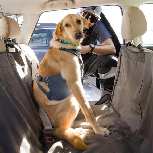 Ruffwear Load Up™ Dog Car Harness
