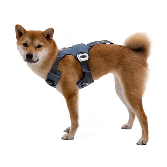 Ruffwear Load Up™ Dog Car Harness