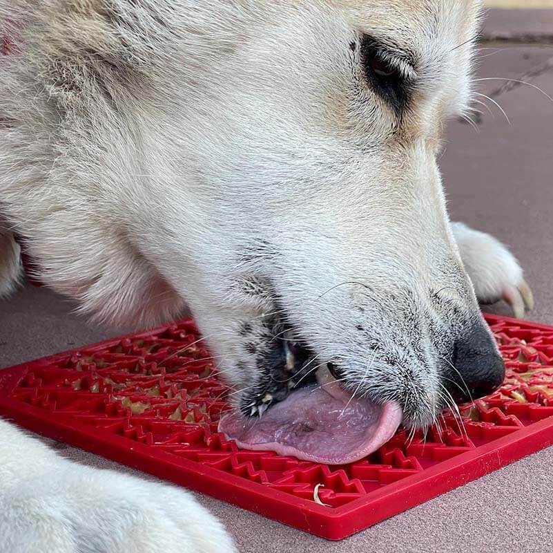 Sodapup Holiday Tree Peace Lick Mat
