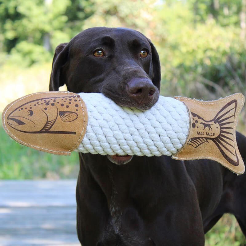 Tall Tails Natural Leather Trout Rope Tug Toy