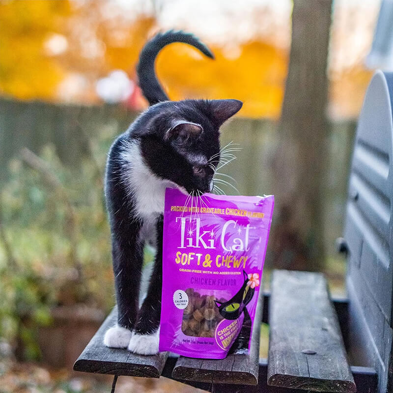 Tiki Cat Soft & Chewy Treat Chicken