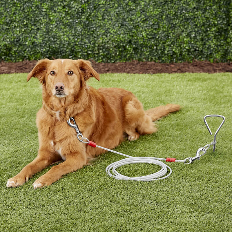 Aspen Pet Dog Tieout 15ft
