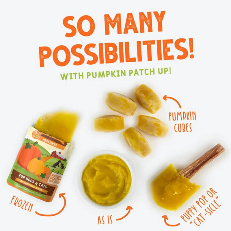 Weruva Pumpkin Patch Up! Variety 12 Pack