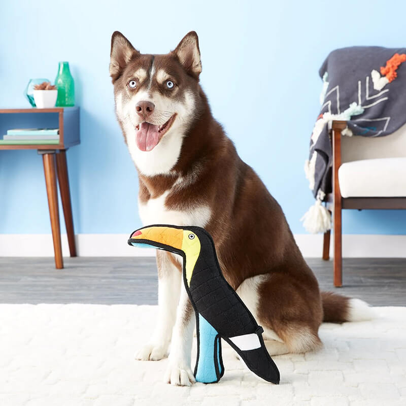 Tuffy® Zoo Toucan