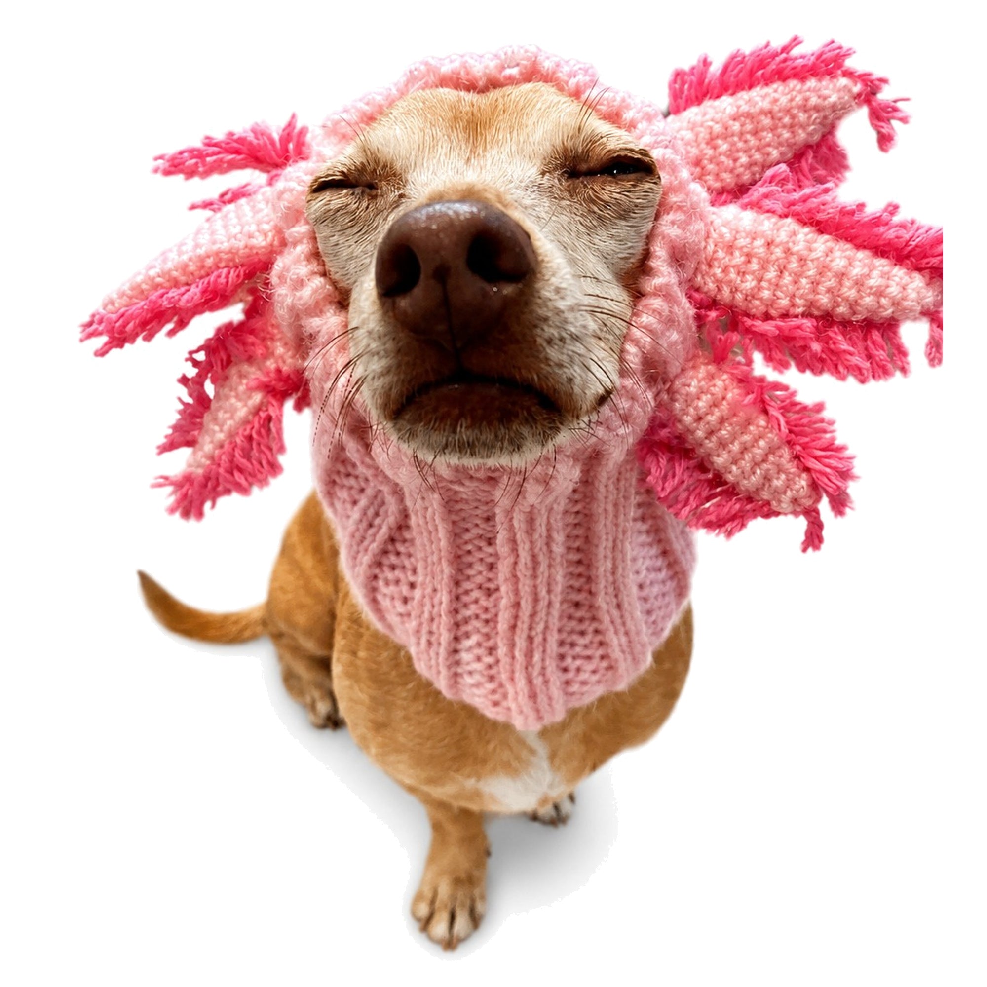 Zoo Snoods Axolotl