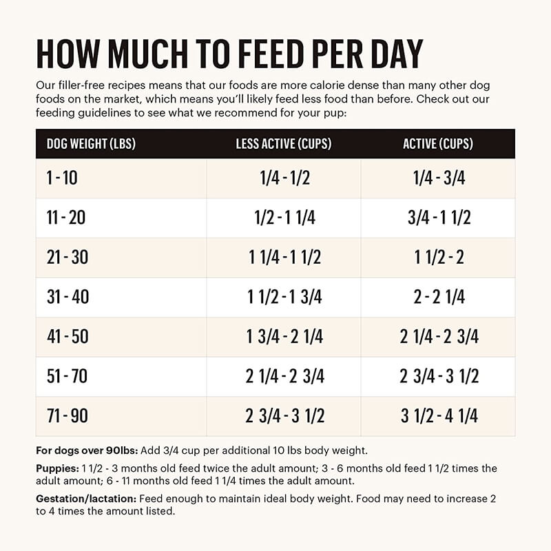 Honest Kitchen Clusters Grain-Free Beef