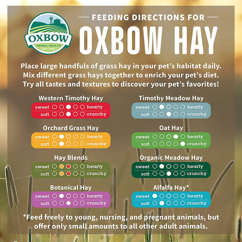Oxbow Botanical Hay 15 oz