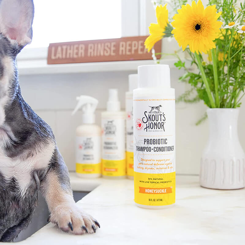 Skout's Honor Probiotic Shampoo + Conditioner Honeysuckle