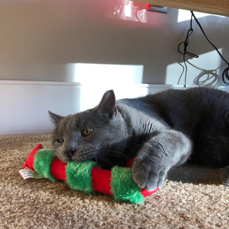 Yeowww Catnip Candy Cane