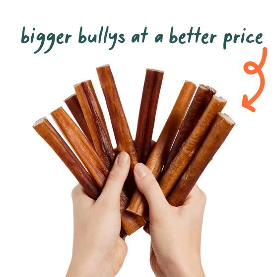 Woof BullySafe Bully Sticks  6"