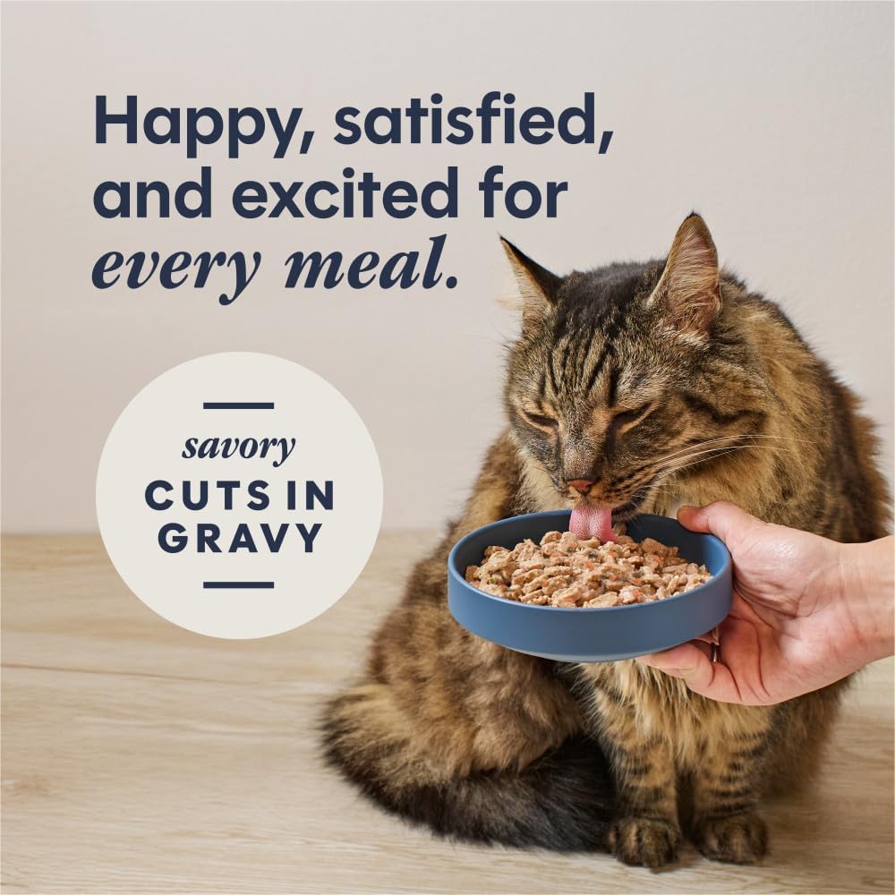 Instinct Split Cup Chicken In Gravy