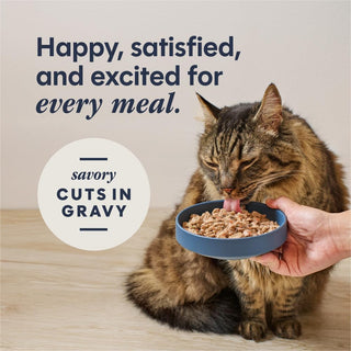 Instinct Split Cup Chicken In Gravy