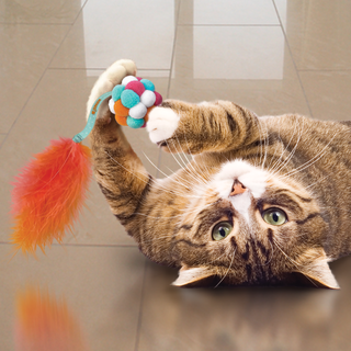 Kong Cat Active Bubble Ball