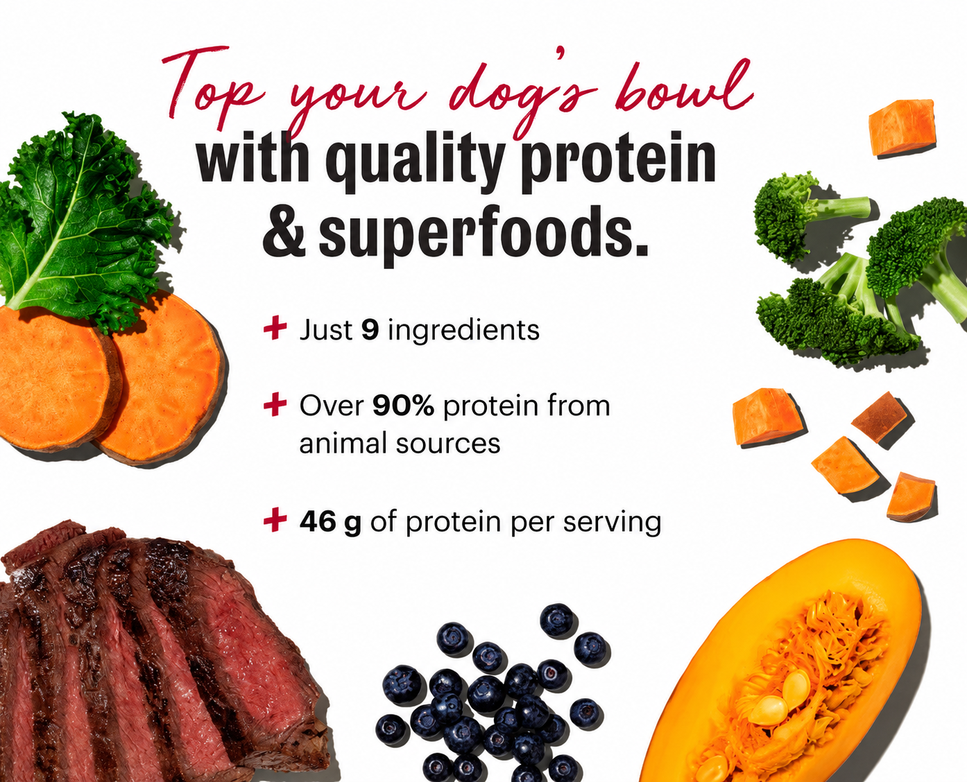 Honest Kitchen Protein Plus Beef with Superfoods Dehydrated Dog Food Topper