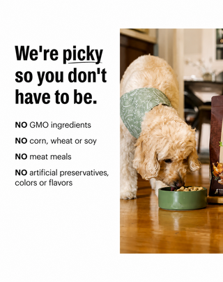 Honest Kitchen Protein Plus Beef with Superfoods Dehydrated Dog Food Topper