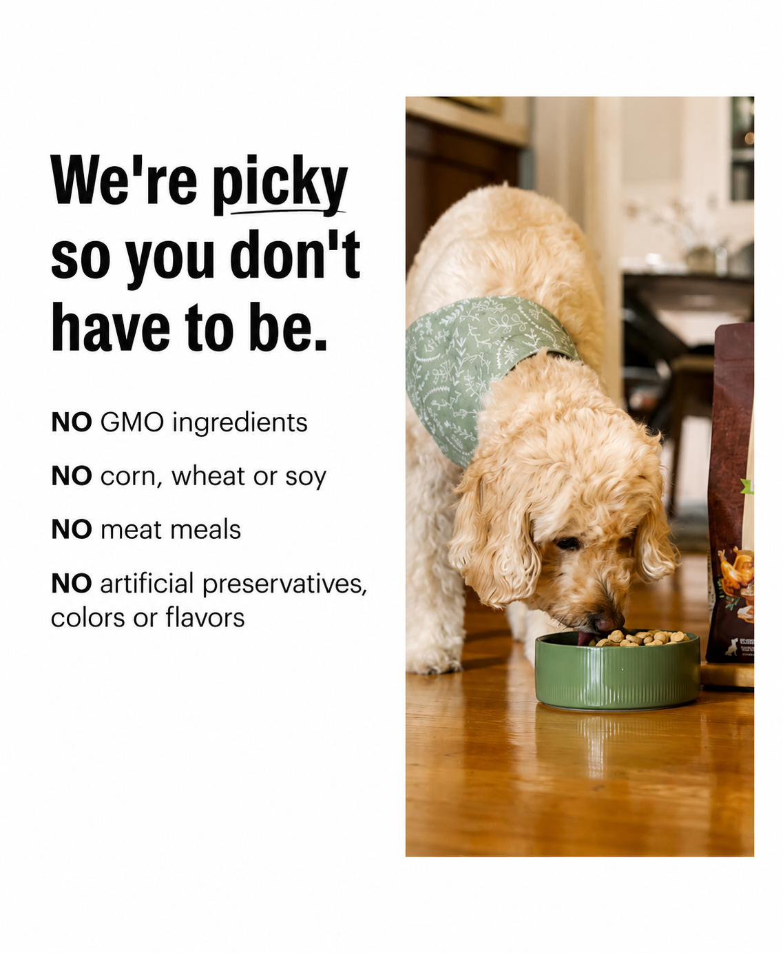 Honest Kitchen Protein Plus Chicken with Superfoods Dehydrated Dog Food Topper