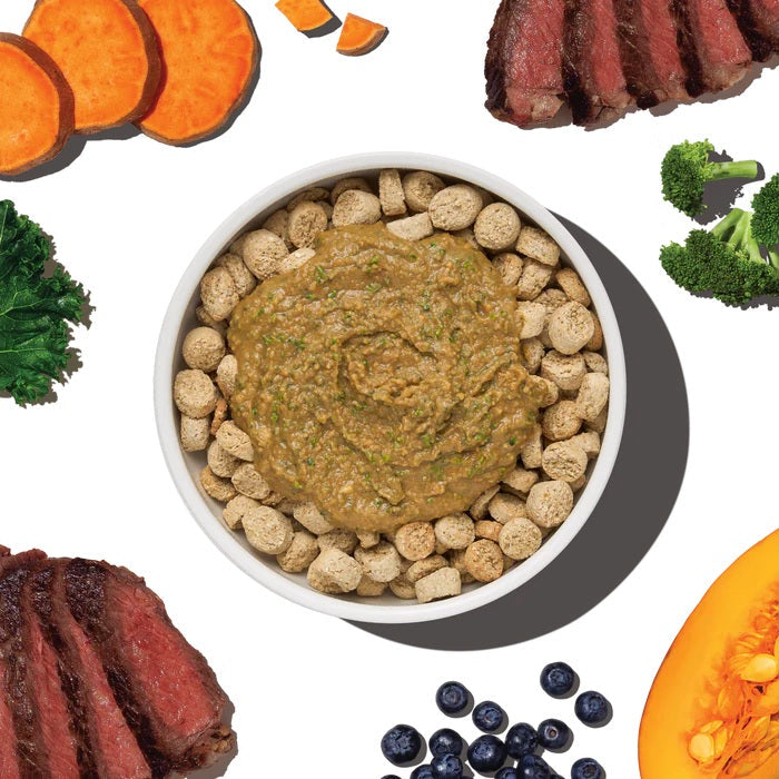 Honest Kitchen Protein Plus Beef with Superfoods Dehydrated Dog Food Topper