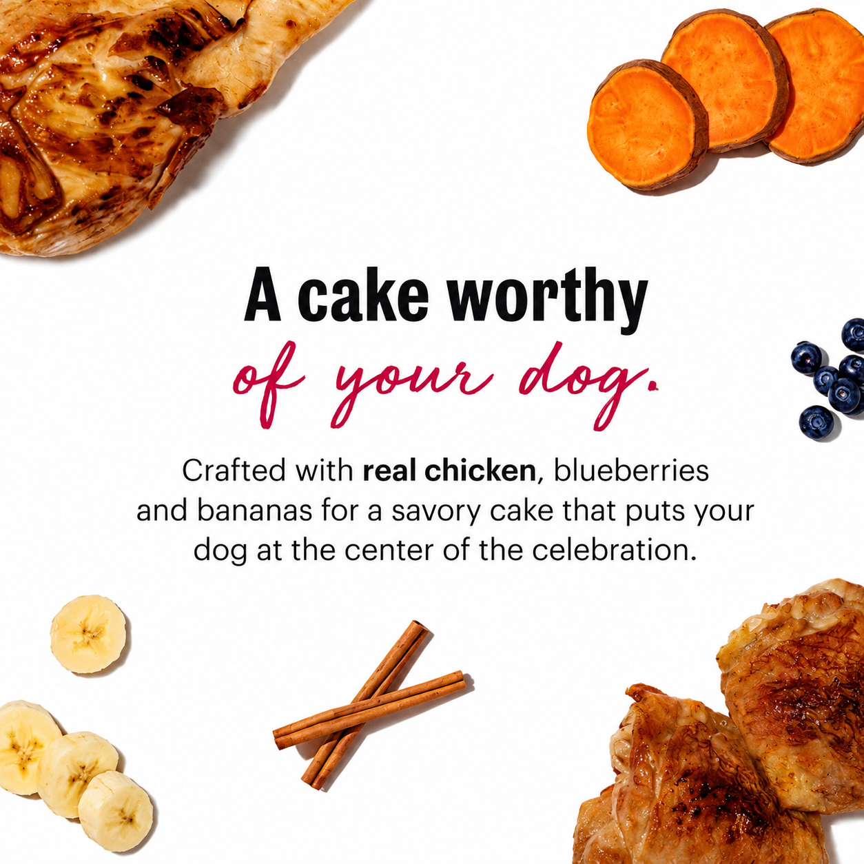 Honest Kitchen Dog Birthday Cake Mix with Chicken & Blueberries