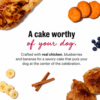 Honest Kitchen Dog Birthday Cake Mix with Chicken & Blueberries