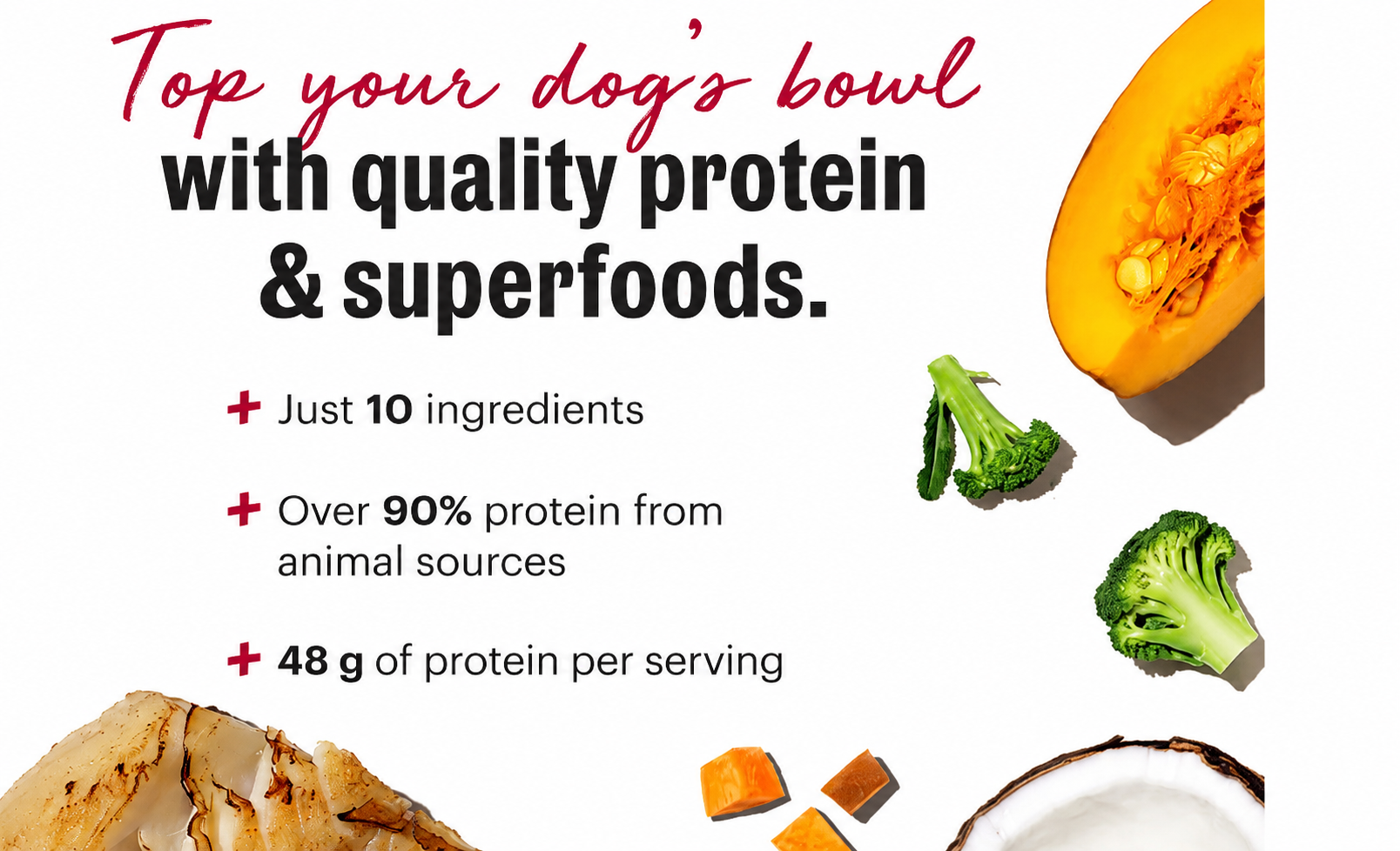 Honest Kitchen Protein Plus Fish with Superfoods Dehydrated Dog Food Topper