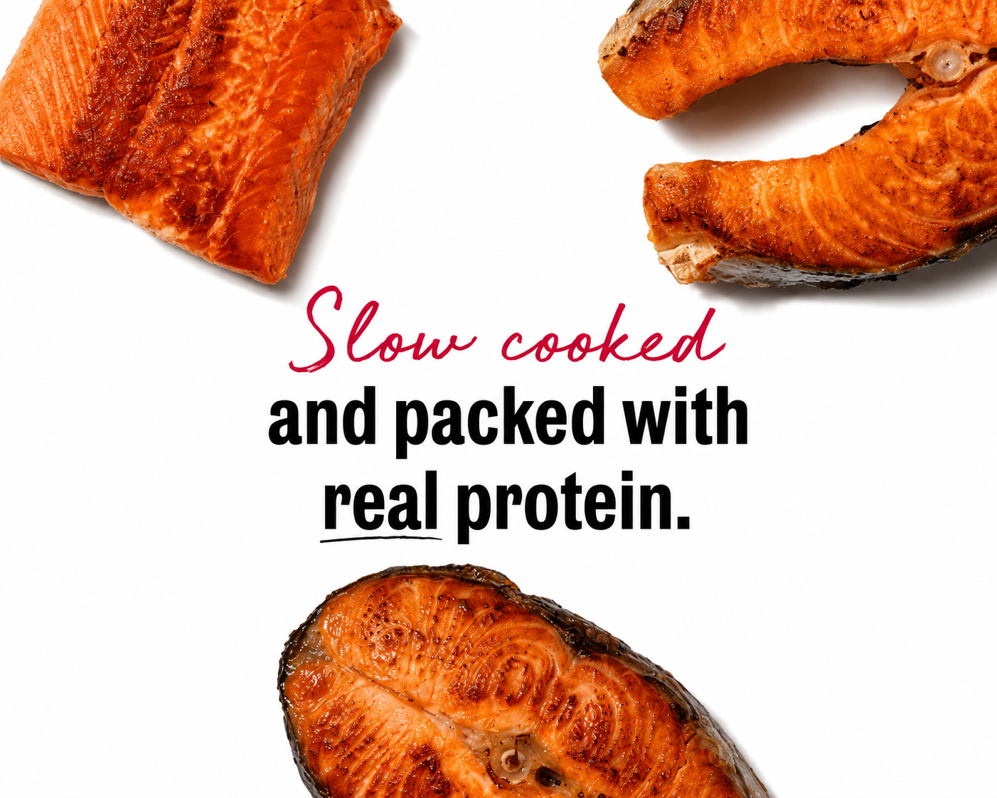 Honest Kitchen Slow Cooked Salmon Jerky
