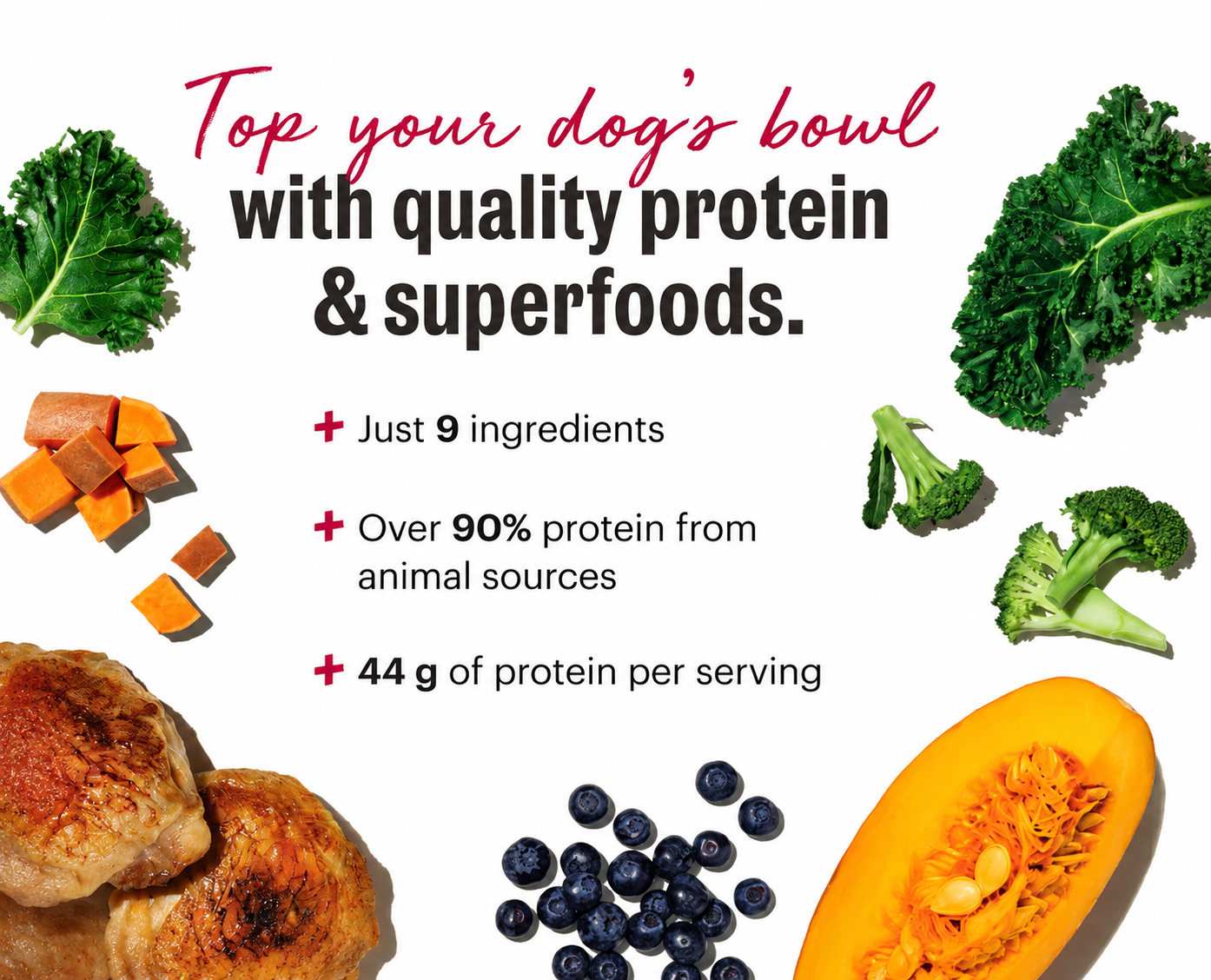 Honest Kitchen Protein Plus Chicken with Superfoods Dehydrated Dog Food Topper