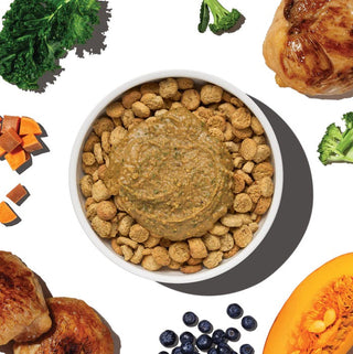 Honest Kitchen Protein Plus Chicken with Superfoods Dehydrated Dog Food Topper