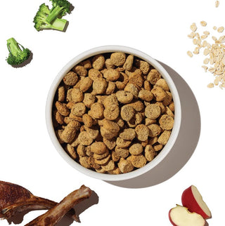 Honest Kitchen Clusters Whole-Grain Lamb
