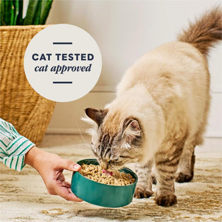 Instinct Cat FreshDried Pate Surf & Turf