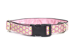 Mackenzie Leash Dainty Daisy Pink