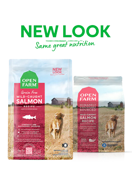 Open Farm Grain-Free Wild-Caught  Salmon